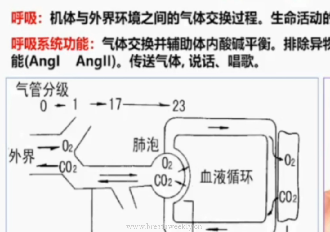 图片[8]-资料下载 | 每周呼吸-每周呼吸