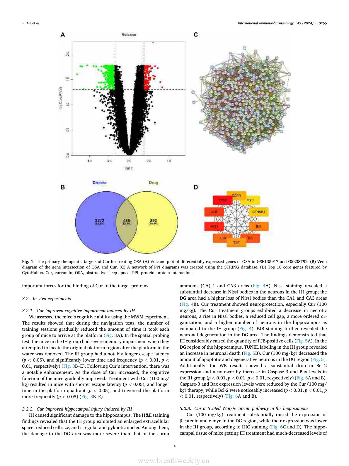 【文献解读】姜黄素通过Wnt/β-catenin通路改善间歇性缺氧海马神经发生异常——网络药理学与实验验证-每周呼吸