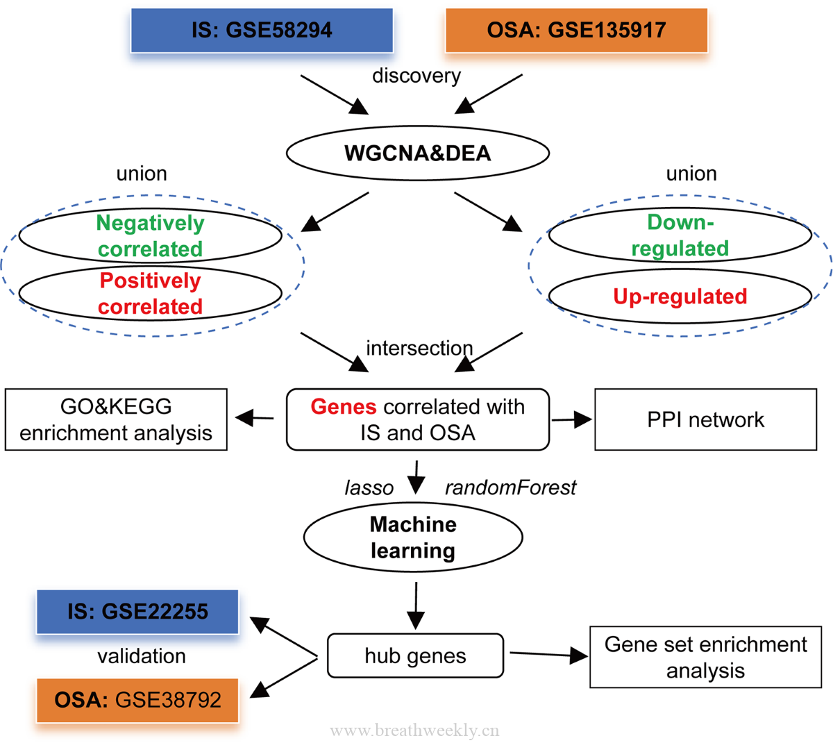 图1 研究流程图